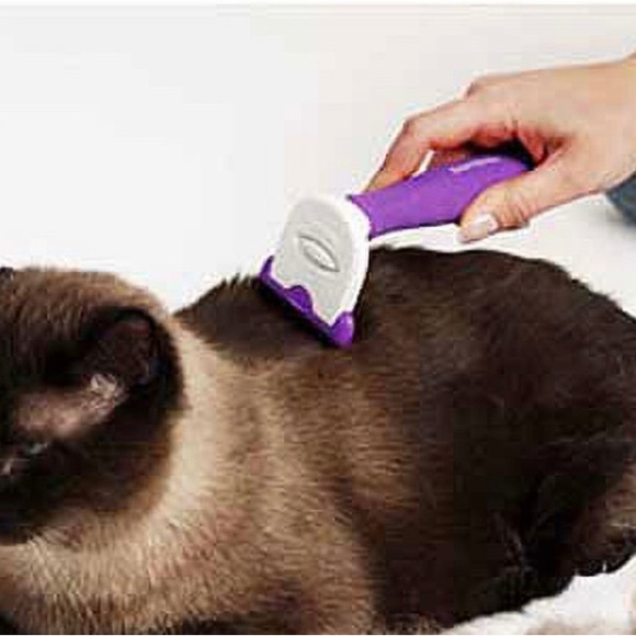 Generic bamboo Fur buster cat replacement blade and cover. 2in/5.08cm - Picture 4 of 6